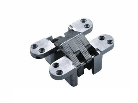 AG001 Zinc Alloy Concealed Door Hinge