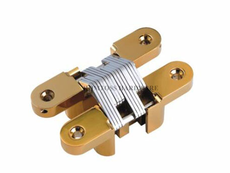 CG003 Stainless Steel Concealed Door Hinge