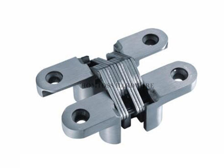 CG005 Stainless Steel Concealed Door Hinge